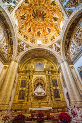 Fototapeta na wymiar Ornate Ceiling Dome Santo Domingo de Guzman Church Oaxaca Mexico