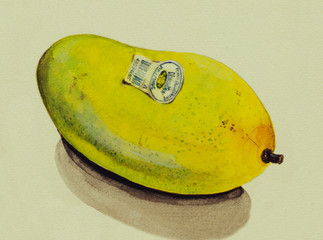 手描き　フィリピンマンゴー　水彩画