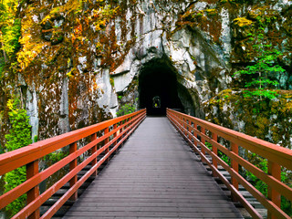 Railway Train Tunnel in Rural Cliff Stone Canyon Autumn Trees