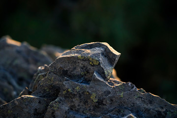 stein mit sonnenlicht