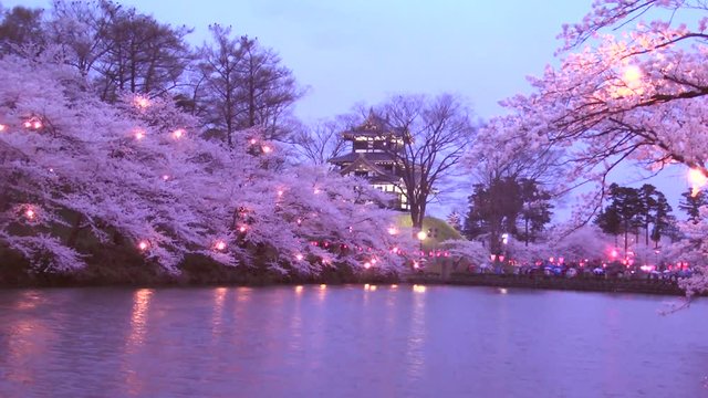 View of lake and blooming trees, Joetsu, Niigata Prefecture, Japan