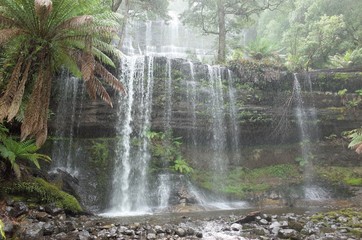 The Russell falls in Tasmania