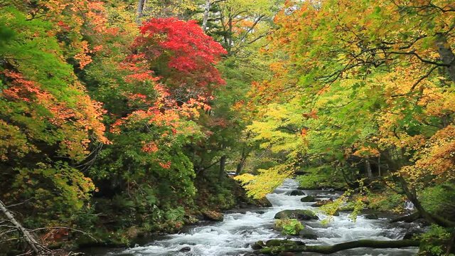 Akan River flowing in autumn forest