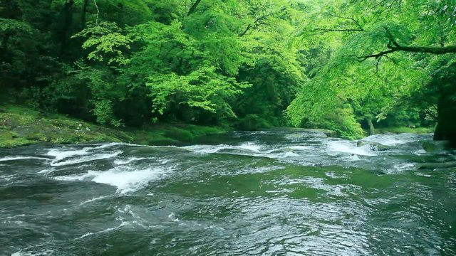 View of wavy river, Kikuchi, Kumamoto Prefecture, Japan