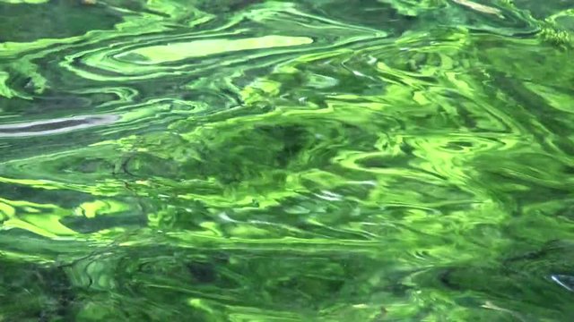 Close up of crystal clear water, Japan