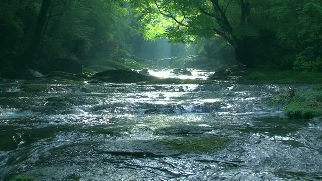 Scenic landscape of river flowing through forest, Japan