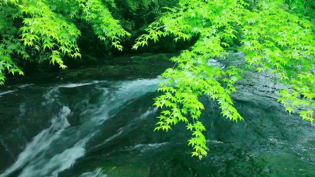 View of wavy river, Kikuchi, Kumamoto Prefecture, Japan