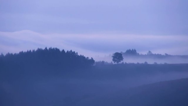 Timelapse of fog shrouding forested hill at dawn