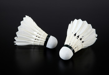 badminton racket and shuttlecock on strings