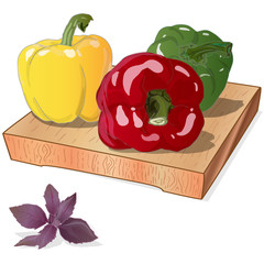 Tasty ripe bell peppers on white background. Vector illustration, separate layers per item