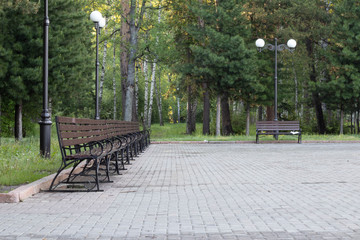 walkway for walks in the park
