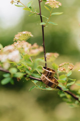 wedding rings, wedding celebrations and accessories and decorations