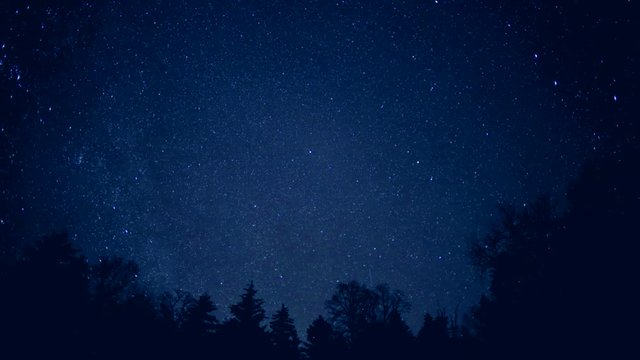 Timelapse&nbsp;of starry night sky over forest trees