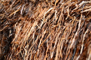 background of straw
