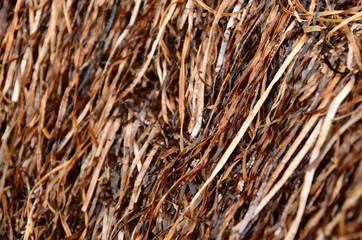 background of straw