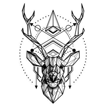 Deer low poly ,Vector. Abstract polygonal the head of a deer. Geometric linear animal