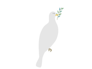 オリーブの枝を持った白いハト