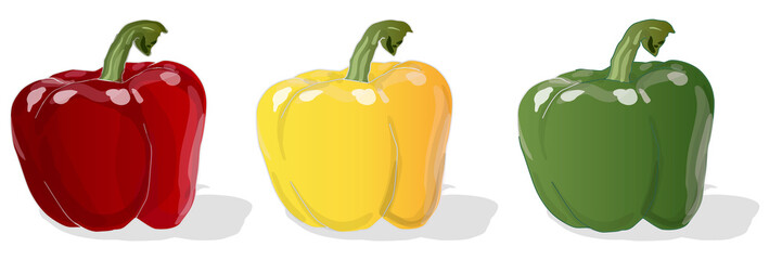 Tasty ripe bell peppers on white background. Vector illustration, separate layers per item