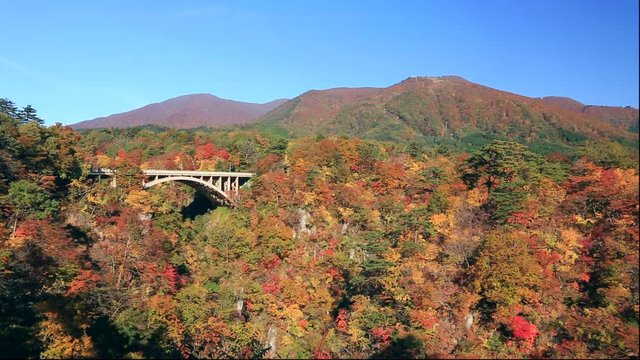 Wide shot of Naruko Gorge in autumn, Osaki, Miyagi Prefecture