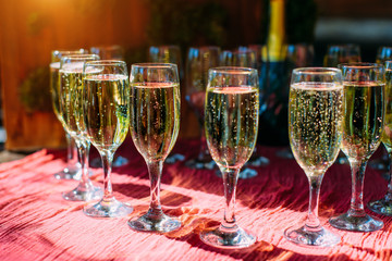 A row of glasses filled with cold champagne lined up, ready to be served. Glasses with Martini on the table - party background. Welcome drink on the wedding ceremony.