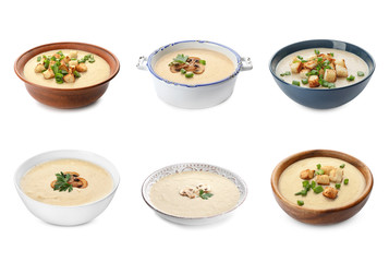 Set of fresh homemade mushroom soup on white background