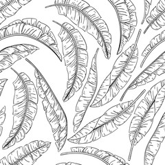Tropical palm leaves sketch seamless pattern, jungle banana