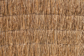 Close up straw of japanese thatched roof texture background