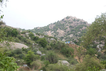 the view of mountain