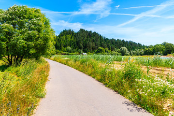 Fototapeta na wymiar Cycling way along green fields near Czorsztynskie lake and Nowy Targ, Tatra Mountains, Poland