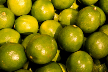 Lemon with Green and Yellow  