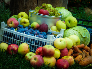 apples, cabbage, carrots, grapes, plums in boxes, tinted and vignette image, organic food. farm products