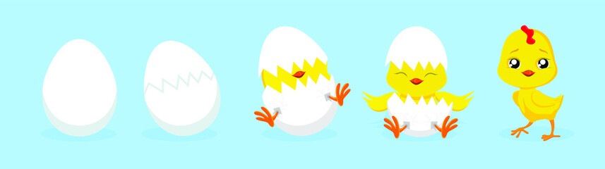 Chicken hatching. Cracked chick egg, hatch eggs and hatched easter chicks. Cracks egg and easter mascot chicken. Newborn bird cartoon illustration