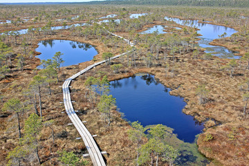 Great Ķemeri Bog in Ķemeri National Park in Latvia