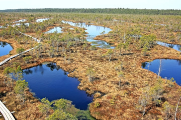 Great Ķemeri Bog in Ķemeri National Park in Latvia