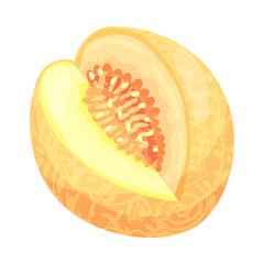 Melon with the cut out part of the fourth. Vector illustration on white background.