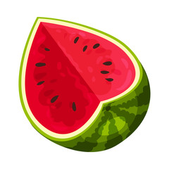 Large watermelon with a slit. Vector illustration on white background.