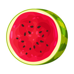 Half round watermelon. Vector illustration on white background.
