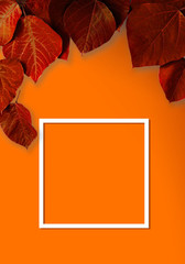 Orange color background with red leaves. Background material, message board etc. Created in poster size.  赤色の葉とオレンジ色の背景素材。背景素材、メッセージボードなど。ポスターサイズで作成。
