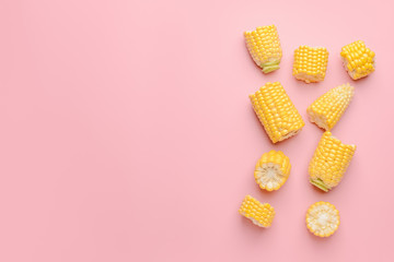 Fresh cut corn cob on color background