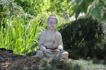 statue of buddha in natural garden