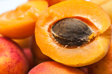 many fresh apricots top view 