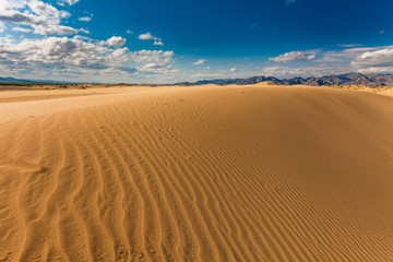 Fototapeta na wymiar Beautiful desert landscape with sand dunes. Mongolia.