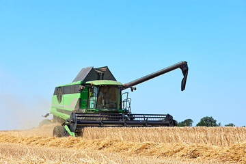 Green combine harvester machine harvesting wheat on a wheat field in summer. Sunny blue sky and...