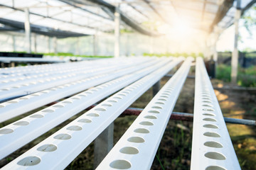 Organic vegetable growing plots.  Industrial concept