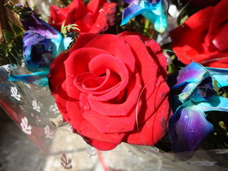 red rose in flower bouquet