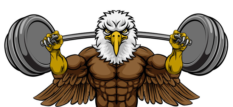 An eagle animal body builder sports mascot weight lifting a barbell