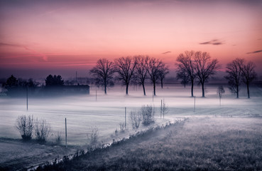 campagna nella nebbia