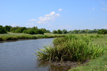 Summer landscape with lake in the field and blue sky.