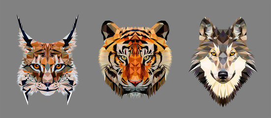 Low poly triangular tiger, lynx and wolf heads on grey background, vector illustration isolated.  Polygonal style trendy modern logo design. Suitable for printing on a t-shirt.