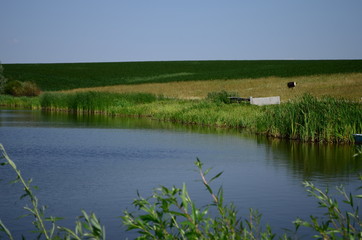 Summer landscape with lake in the field and blue sky.